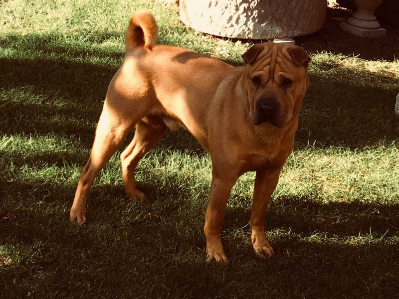 marley